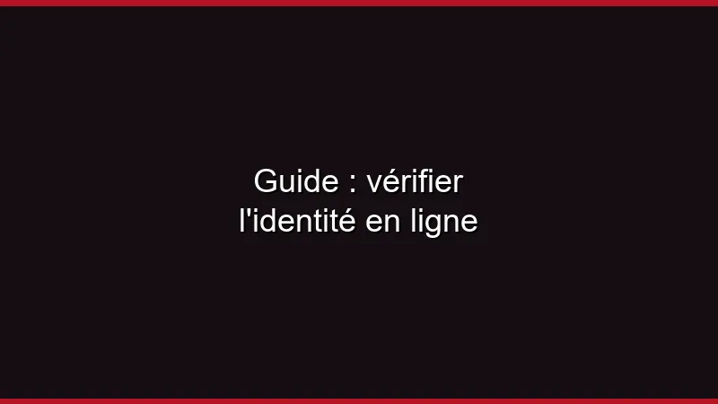 Guide : vérifier l'identité en ligne